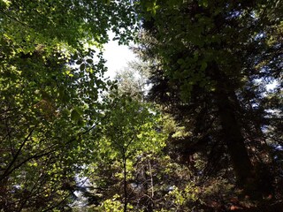 Casa per le vacanze Arrild  34