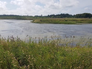 Ferienhaus Løkken  25