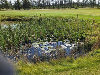 Maison de vacances Løkken  30