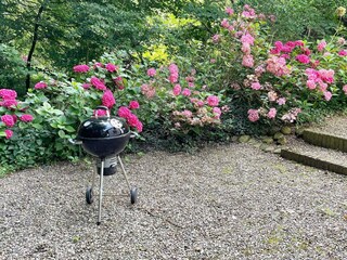Vakantiehuis Aabenraa Buitenaudio-opname 7