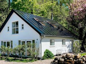 4 Personen Ferienhaus in Aabenraa-By Traum - Aabenraa - image1