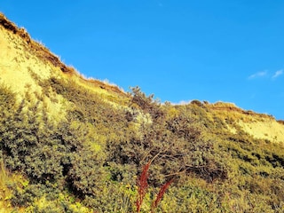 Vakantiehuis Vestervig  37