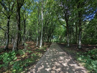 Holiday house Vestervig  14