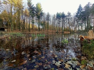 Ferienhaus Vestervig  28