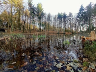 Vakantiehuis Vestervig  38