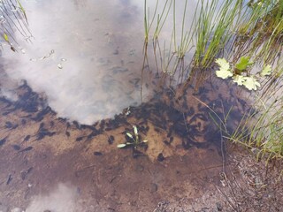 Casa per le vacanze Jegum  39