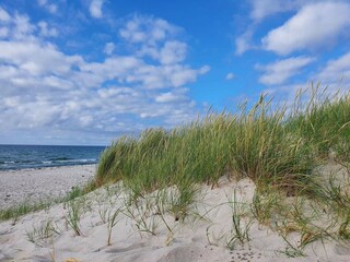 Casa de vacaciones Rørvig  24