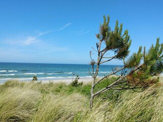 Casa de vacaciones Rørvig  25