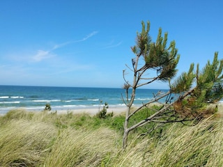 Casa per le vacanze Rørvig  25