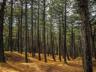 Casa de vacaciones Rørvig  27