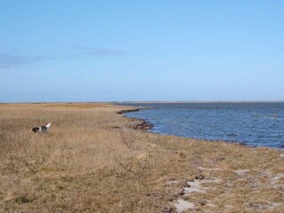 Vakantiehuis Harboøre  27