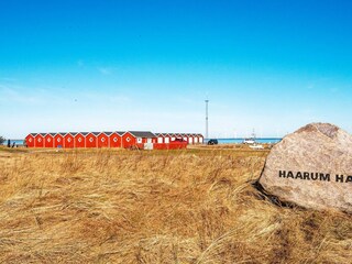 Vakantiehuis Harboøre  8