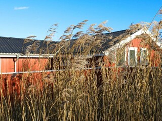 Maison de vacances Nørlev Strand  21