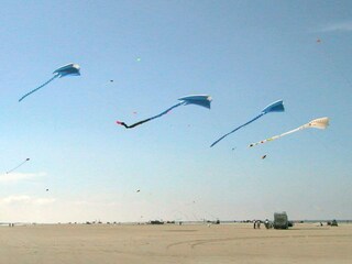 Apartment Fanø Bad  24