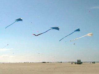 Appartement Fanø Bad  16