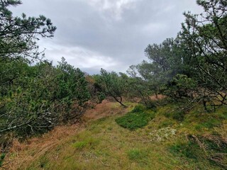 Apartamento Fanø Bad  31