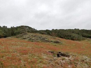 Apartment Fanø Bad  21