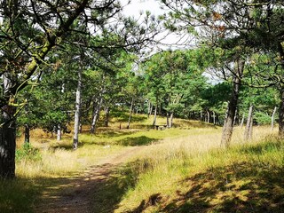 Apartment Fanø Bad  22