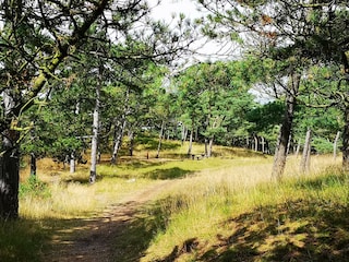 Appartement Fanø Bad  22
