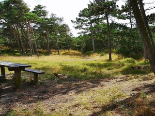 Apartment Fanø Bad  31