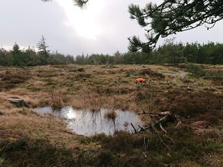 Apartment Fanø Bad  32