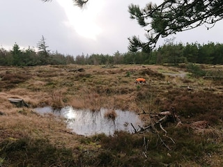 Appartement Fanø Bad  32