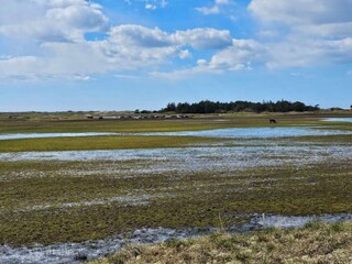 Apartment Fanø Bad  23