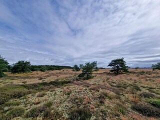Appartement Fanø Bad  24