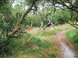 Appartement Fanø Bad  9