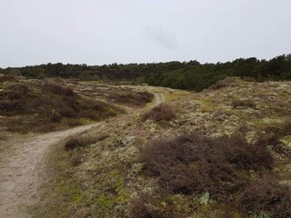 Appartement Fanø Bad  33