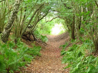 Casa per le vacanze Åsted  36