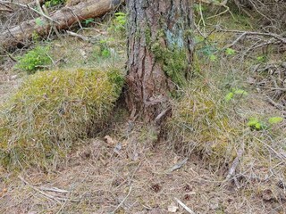 Maison de vacances Oksbøl  27