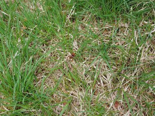 Holiday house Oksbøl  31