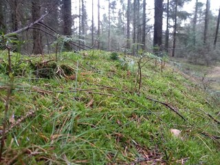 Holiday house Oksbøl  36