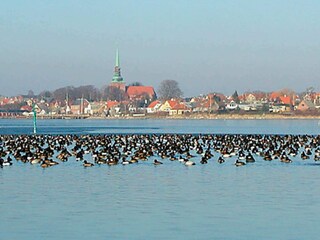 Vakantiehuis Nysted  20