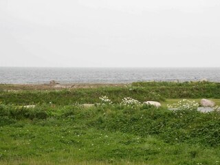 Vakantiehuis Nysted  22
