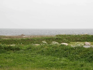 Holiday house Nysted  7