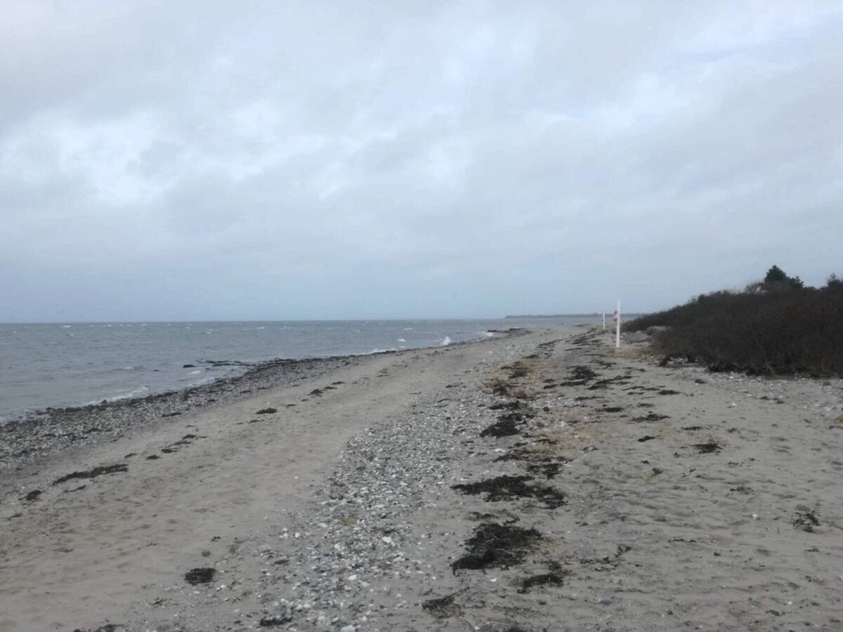 Casa per le vacanze Brenderup  22