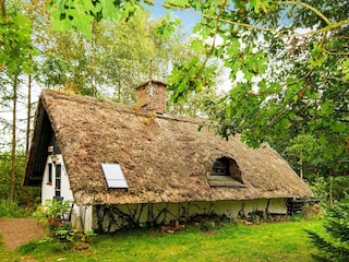Holiday house Ejstrupholm  9