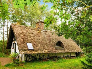 Ferienhaus Ejstrupholm Außenaufnahme 3