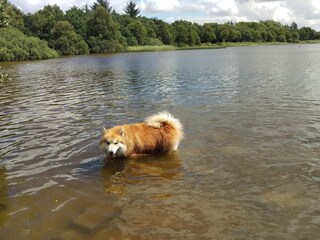 Vakantiehuis Ansager  19