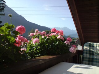 Blick vom Schlafzimmerbalkon