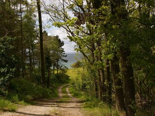 Ferienhaus Knebel  22
