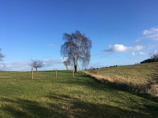 Vakantiehuis Knebel  20