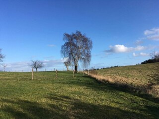 Vakantiehuis Knebel  24