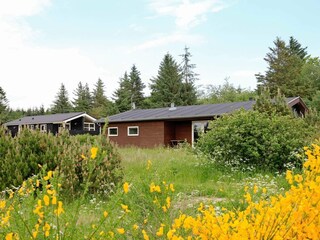 Maison de vacances Fjerritslev  13