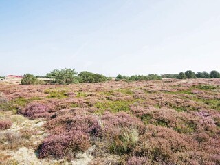 Maison de vacances Fanø  8