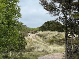 Casa de vacaciones Fanø  22