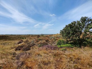 Casa per le vacanze Fanø  36