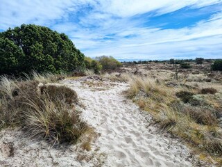 Casa de vacaciones Fanø  37